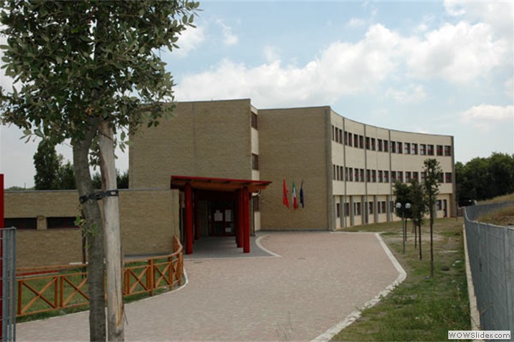 aranova5
