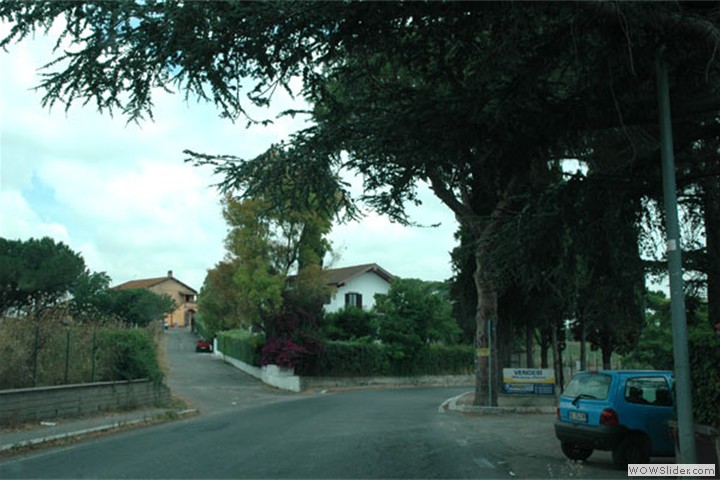 aranova7