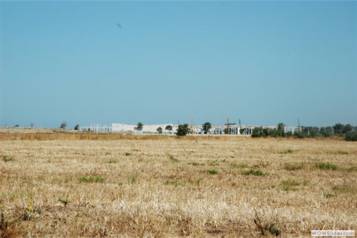 levignole6