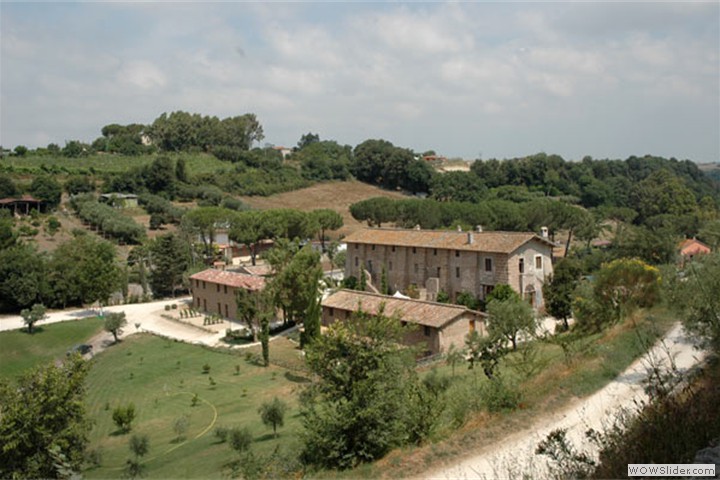 tragliata10