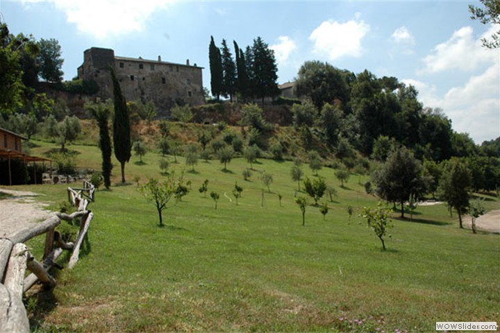 tragliata12