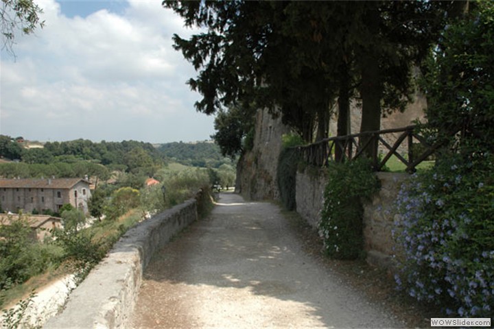 tragliata9