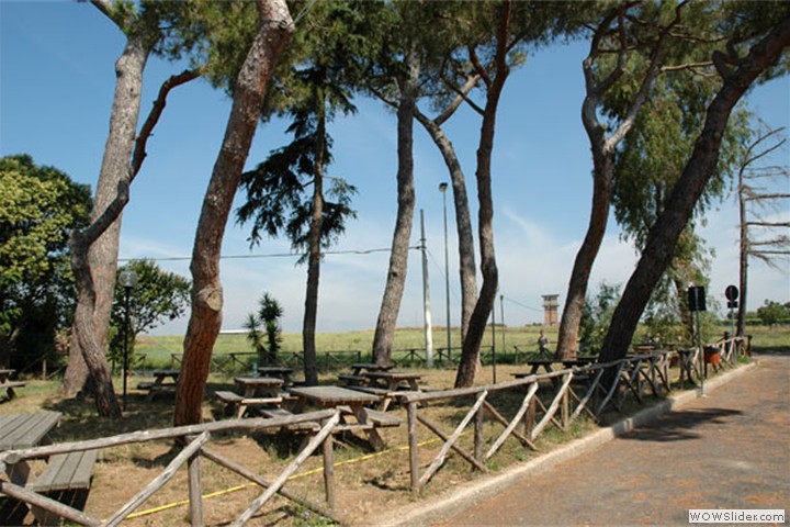 tragliatella13