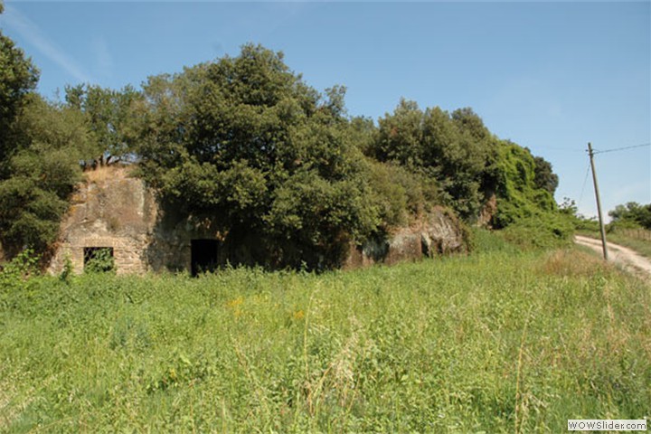 tragliatella3