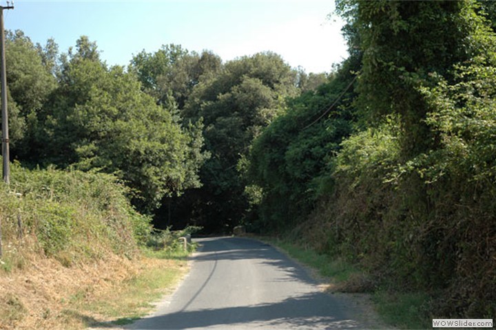 tragliatella4